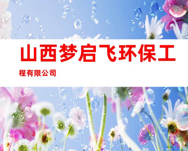 山西梦启飞环保工程有限公司